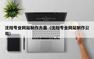 郯城沈阳专业网站制作方案（沈阳专业网站制作公司）
